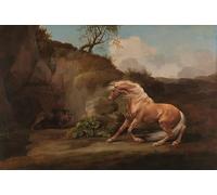 YIMACBJXX Famous Pictures Paintings Artwork For Walls Horse Frightened by George Stubbs Vintage Wall Art for Home Decor 60x90cm