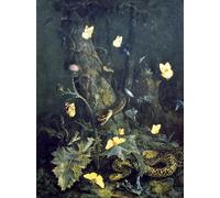 YIMACBJXX Famous Pictures Paintings Artwork For Walls Snakes and insects by Otto Marseus Van Schrieck Vintage Wall Art for Home Decor 60x90cm