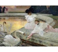 YIMACBJXX Famous Pictures Paintings Artwork For Walls the Swans by Marius Avy Vintage Wall Art for Home Decor 60x90cm