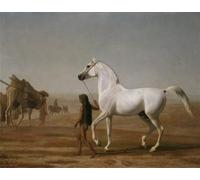 YIMACBJXX Famous Pictures Paintings Artwork For Walls the Wellesley Grey Arabian Led Through the Desert by Jacques Laurent Agasse Vintage Wall Art for Home Decor 60x90cm