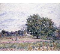 YIMACBJXX Famous Pictures Paintings Artwork For Walls Walnut Trees Effect of the Setting Sun First Day of October by Alfred Sisle Vintage Wall Art for Home Decor 60x90cm