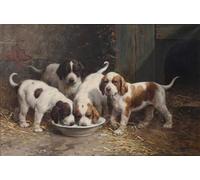 YIMACBJXX Famous Poster Artworks Posters And Prints Saint Bernard Puppies Drinking Milk by Otto Eerelman Canvas Artwork Print for Home Decor 60x90cm