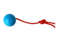 YIMAIWLX Dog Toys Ball On Rope Toy Bite Resistant Pet Interactive With Training Launchers Squeaky Tug For-blue-l
