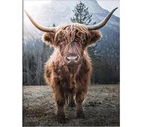 Yimze 5D Diamond Painting Square Full Drill Kits Brown Highland Cow Art Crystal Rhinestone Embroidery Cross Stitch Mosaic Pattern Canvas Craft for Home Room Wall Decor 40x50cm/16x20inch