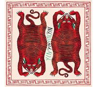 YIN YIN - THE RABBIT THAT HUNTS TIGERS [VINYL]