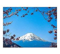 Ying Cherry Blossom Mount Fuji Japan Canvas Wall Art Print
