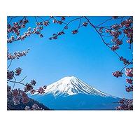 Ying Cherry Blossom Mount Fuji Japan Wall Art Print