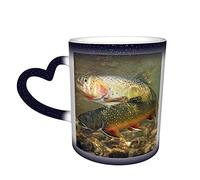 YINGD Brook Trout Fly Fishing Color Changing Mug Color Changing Ceramic Heat Sensitive Mugs Discoloration Cup Water Coffee Cups Magic Funny Art Personalized