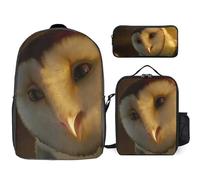 YINGD Legend of The Guardians The Owls of Ga'Hoole Backpack Essentials Three Piece Set Bookbag Snack Tote and Pen Holder for Kids
