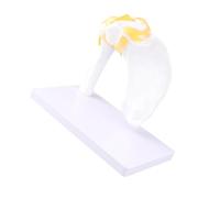 Yinhing 1: Size Human Shoulder Joint Model with Ligaments Shoulder Model Detailed Structure for Teaching and Study Premium PVC Material 19.5x18x11.5cm