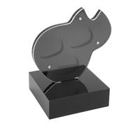 Yinhing Acrylic Guitar Pick Holder Magnetic Storage Display Case Durable Dust for Guitar Players Musicians Black 3.1 X 3.1 Inches