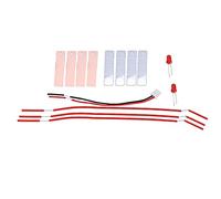 Yinhing DIY Fruit Battery Kit Educational Electricity Generating Experiment Safe Materials Hands On Learning Activity for Kids Science Project for Age 8+
