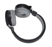 Yinhing S Cute Animal Headset 5.0 Kids Headphones With Built In Microphone for Little Red Lovers Comfortable Fit for Day Play for Gaming And Learning Activities (little black cat)