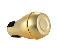 Yinhing Trombone, Mute with High Density Sponge Interface Trombone Mute Silencer Lightweight ABS Valve for Teaching and Learning (Gold)