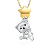 Yinplsmemory Cat Urn Necklace for Ashes Pet Cremation Jewelry with Star Memorial Animal Stainless Steel Pendant Ashes Keepsakes Jewelry, Stainless Steel, No Gemstone