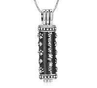 Yinplsmemory Paw Print Cremation Jewelry for Pet With Cylinder Vial Urn Locket Pendant Ashes Keepsake Memorial Jewelry for Dog/Cat, Stainless Steel, No Gemstone