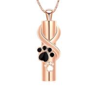 Yinplsmemory Paw Print Cylinder Urn Necklace for Dog/Cat Ashes Holder Ashes Keepsake Memorial Cremation Jewelry for Pet, Stainless Steel, No Gemstone