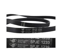 YINZHD Washing Machine Parts Belt 5PJE 1281 5EPJ1270 8EPH1258 6PJE1274 5PJE1239 5EPJ1105(5PJE1239)