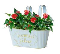 Yiohejy Flower Boxes for Railings | Metal Hangable Deck Planter | Metal Hangable Flower Boxes for Outside Garden Porch, Window Houseplant Pots