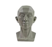 Yiokii Planar Head Model for Artists, Drawing Mannequin, Planar Head Model for Artists, Generic Planar Head Model for Artists Learn Planes of Face