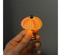 Yiokii Sea Urchin Night Light -sea Urchin Night Lamp Funny Beach Themed U6b7 Light Ornament Night For Desktop