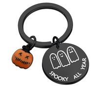 YIQPKUM Cute Stainless Steel Ghost Keychain Spooky All Year Keyring for Car Keys Accessories Halloween Charms (Silver Plated)