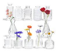 Yirilan Glass Bud Vase Set of 12,Small Clear Round Vases for Flowers, Mini Flowers Vases, Vintage Bottle for TableDecorations, Wedding Decor, Party, Home
