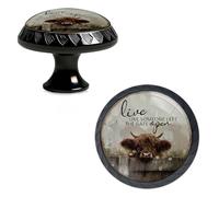 Yiruhe 4 Pack Live Like Someone Left The Gate Open Funny Kitchen Cabinet Knobs Crystal Glass Round Drawer Pulls for Dresser Cupboard Door Handles