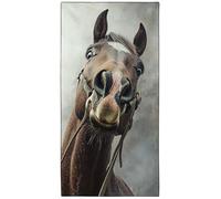 YISUMEI Funny Horse Photos Beach Towel Large 180x90cm, Quick-Dry Microfiber Towel with Carry bag, Super Absorbent, Sand-Free, Lightweight Travel Towel for Beach, Gym, Pool