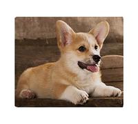 YISUMEI - Soft Fleece Blanket - Cardigan Welsh Corgi, 150 x 200 cm Throw Suitable for Sofa or Bed