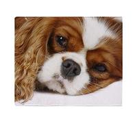 YISUMEI - Soft Fleece Blanket - Cavalier King Charles Spaniel, 80 x 120 cm Throw Blanket Suitable for Sofa or Bed