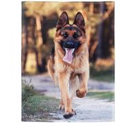 YISUMEI - Soft Fleece Blanket - Cute Pet German Shepherd Dog,100 x 150 cm Throw Suitable for Bed or Sofa