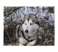 YISUMEI - Soft Fleece Blanket - Siberian Husky, 150 x 200 cm Throw Suitable for Sofa or Bed