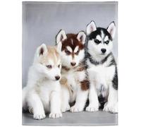 YISUMEI - Soft Fleece Blanket - Siberian Husky Puppies Dogs Pets,100 x 150 cm Throw Suitable for Bed or Sofa