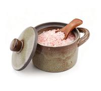 Yitexin 8.5 Oz Speckled Porcelain Salt Cellar with Lid & Wooden Spoon, Handcrafted Pepper Salt Dish Holder, Glaze Spice Jar Kitchen Countertop Canister/Container/Bowl for Sugar Storage (1pcs)