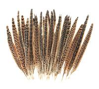 YiThao 30 Pcs Natural Pheasant Feathers, 25-30 cm Brown Speckled Feathers, DIY Pheasant Tails Feather Soft Native Plume for Hair Hats Crafts Home Wedding Party Decoration Cosply Props