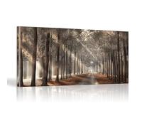 YIUEYI Nature Wall Art Scandinavian Sunshine Shadow Trees Canvas Painting Poster Landscape Forest Path Wall Art Pictures Prints for Home Decor 30x59inch-75x150cm Wood Frame