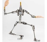 Yiustldd Stop Motion Armature Kits, Articulated Humanoid Skeleton, Stainless Steel Cinematic Animation Puppet Figure for Character Design,24cm