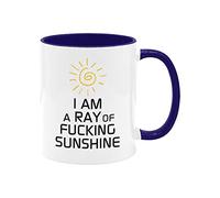 YIVXA Purchasing Mug Funny Summer Sunshine Coffee Mug I Am A Ray of Fucking Sunshine Ceramic Mug with Inner Color Coffee Mug 11 Oz