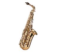 YIWENG Eb Alto Saxophone Sax Brass Lacquered Gold 802 Key Type Woodwind Instrument with Padded Carry Case Gloves Cleaning Cloth Brush Sax Straps Reeds