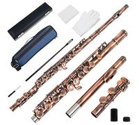 YIWENG flute,C-key 16-Hole Flute Set Closed Hole C Flute With Case ing Rod Wiping Cloth and Gloves for Beginner Music Lover,16-Hole Flute