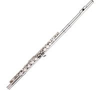 YIWENG flute,Western Concert Flute Nickel Plated 16 Holes C Key Cupronickel Woodwind Instrument with ing Cloth Stick Gloves Mini Screwdriver Padded Bag,C Key Flute