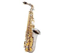 YIWENG Saxophone,Eb Alto Saxophone Brass E Flat Sax 802 Key Type Woodwind Instrument with ing Rod Cloth Gloves Strap Padded Case,Eb Alto Sax