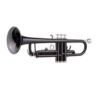 YIWENG small,Brass Plated Black Bb Trumpet Set for Beginner Student with Hard Case Straps Mouthpiece Gloves Polishing Cloth,Student Trumpet