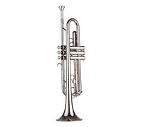 YIWENG small,Standard Bb Trumpet Brass Material Nickle Plated Wind Instrument with Mouthpiece Carry Bag Gloves ing Cloth,trumpet with mouthpiece