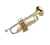 YIWENG small,Trumpet Bb B Flat Brass Exquisite with Mouthpiece Gloves,Brass Trumpet