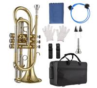 YIWEOG Bb Cornet Brass Instrument Surface Paint Gold Professional Brass Cornet with Carrying Case Gloves Cleaning Cloth Brushes for Students and Beginners