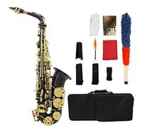 YIWEOG Brass Engraved Eb E-Flat Alto Saxophone Sax Abalone Shell Buttons Wind Instrument with Case Gloves Cleaning Cloth Belt Brush