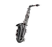 YIWEOG Professional Brass Bend Eb E-flat Alto Saxophone Sax Black Nickel Plating Abalone Shell Keys with Carrying Case Gloves Cleaning Cloth Straps Grease Brush