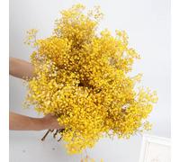 YIWOYI 30g Dried Flower Bouquet Baby's Breath Dried Flowers Gypsophila Arrangement Artificial Flowers Wedding Decoration Christmas Home Decor (yellow,30g)